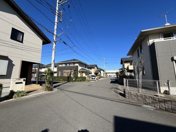 その他現(xiàn)地  寫真撮影日：2023-11-25