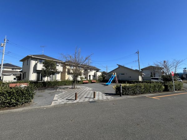 その他現(xiàn)地  寫真撮影日：2023-11-25