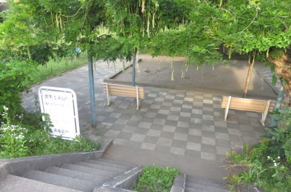 駅西児童公園 1700m 寫真撮影日：2024-06-09 