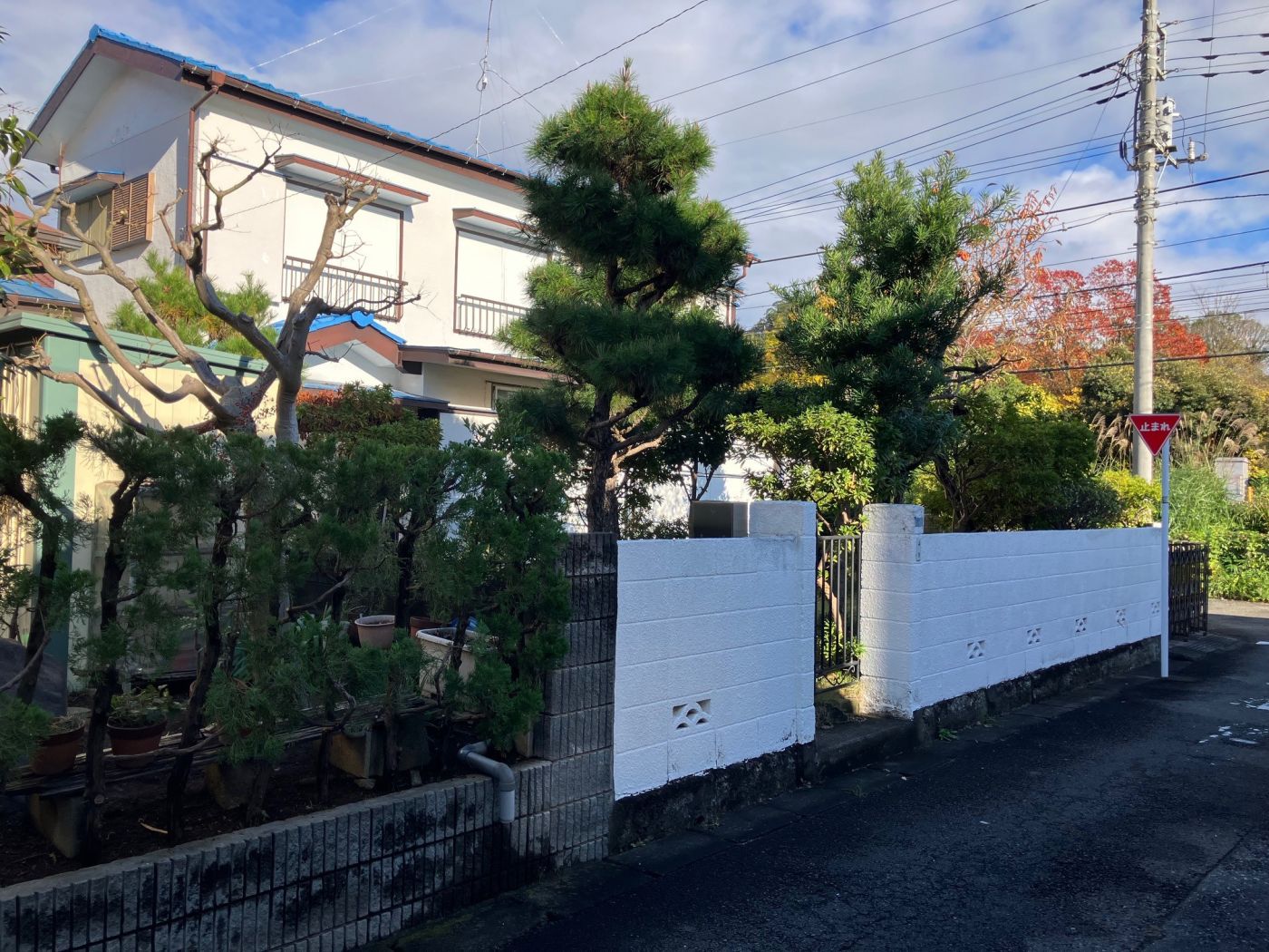 現地寫真（2024年11月撮影）