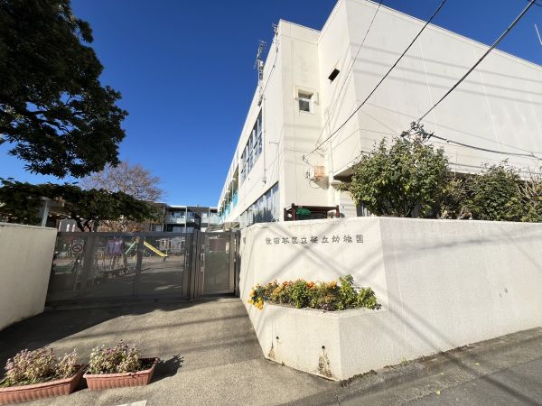 世田谷區(qū)立桜丘幼稚園 250m 寫真撮影日：2024-12-17 