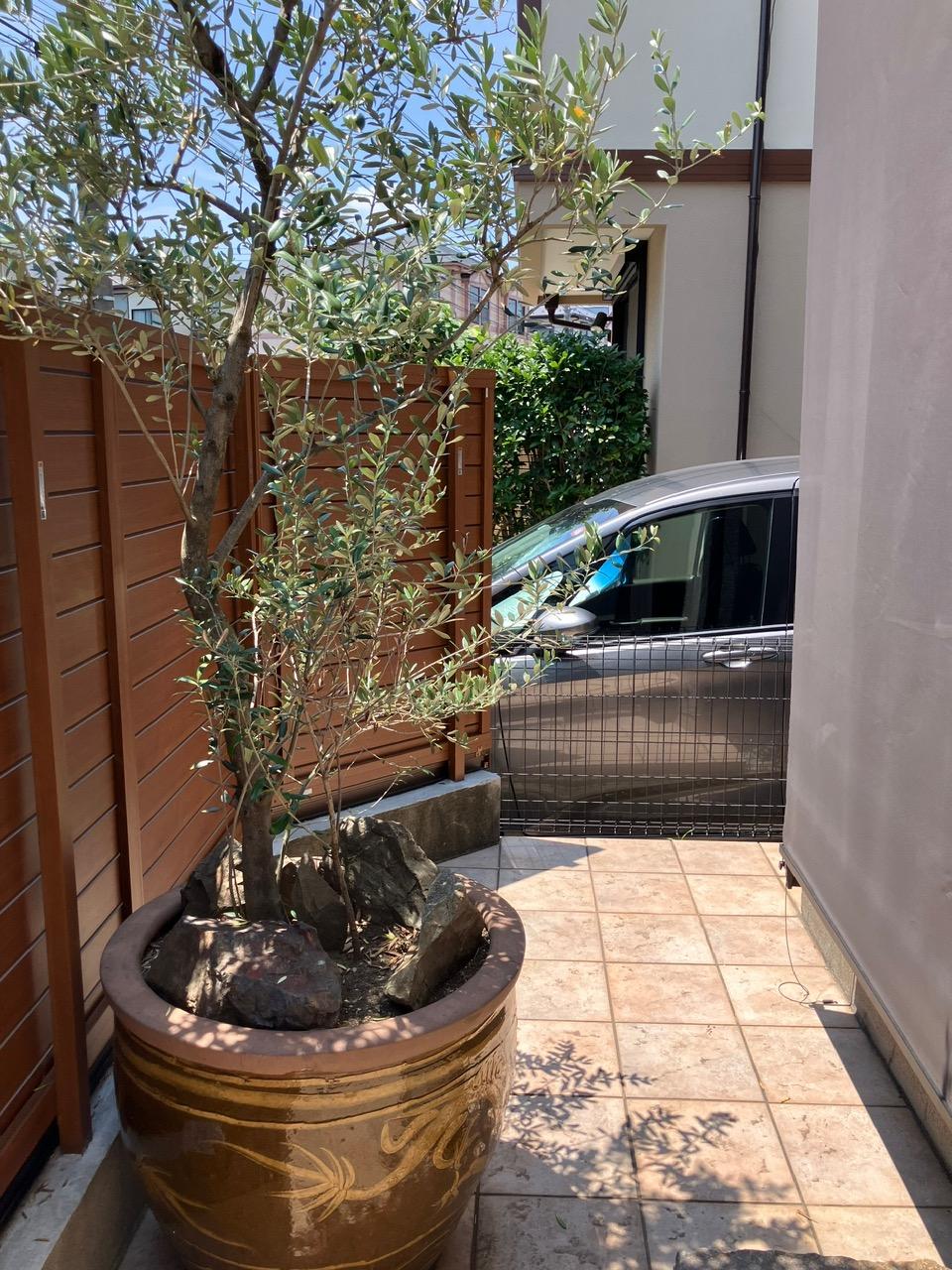 テラス 寫真撮影日：6/1/25, 12:00?AM