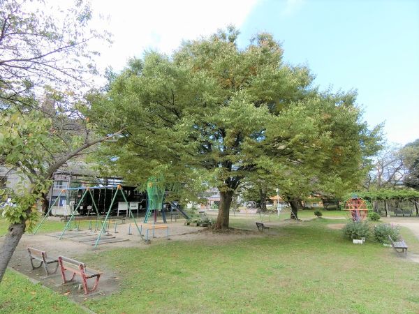 山形第二公園 330m 寫真撮影日：2024-10-18 