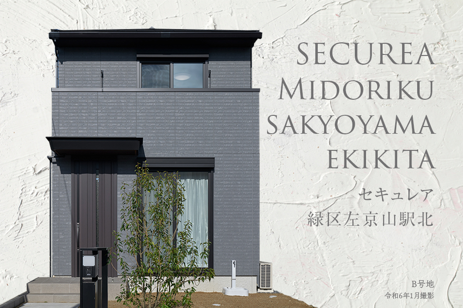 B號地
