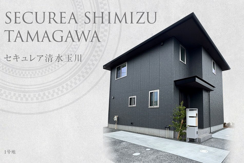 セキュレア清水玉川