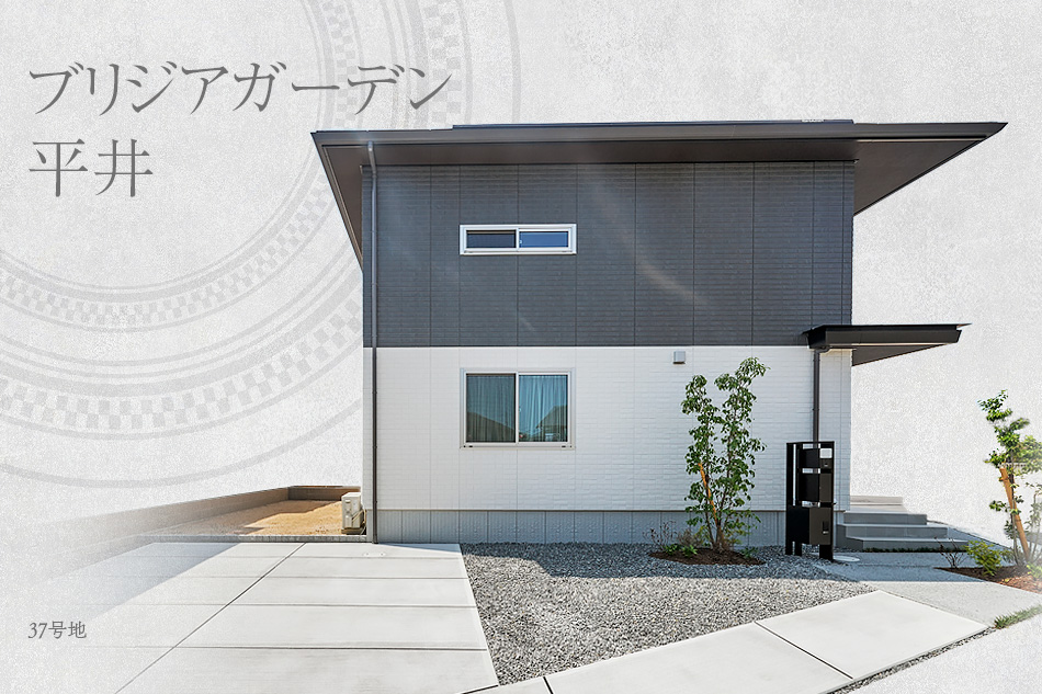 37號地