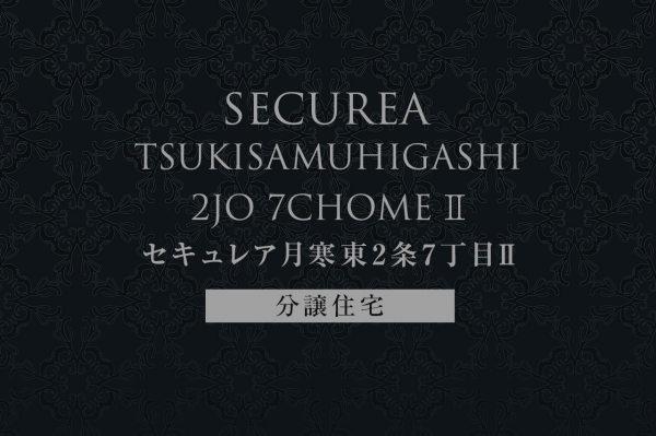 セキュレア月寒東2條7丁目II　(分譲住宅)