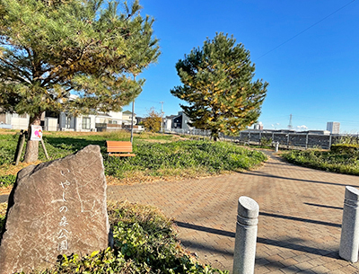 いやしの森公園