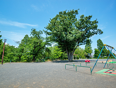 あざみ野四丁目北公園