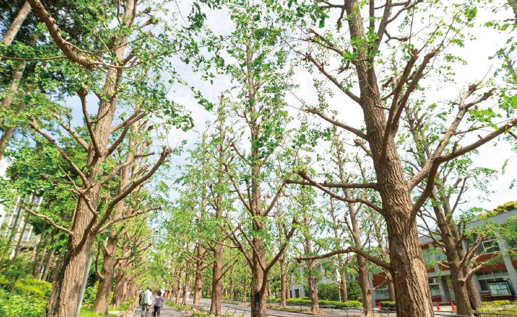 慶応大學 日吉キャンパス