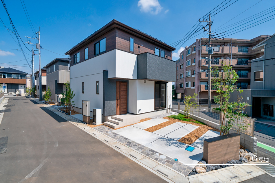 6號地