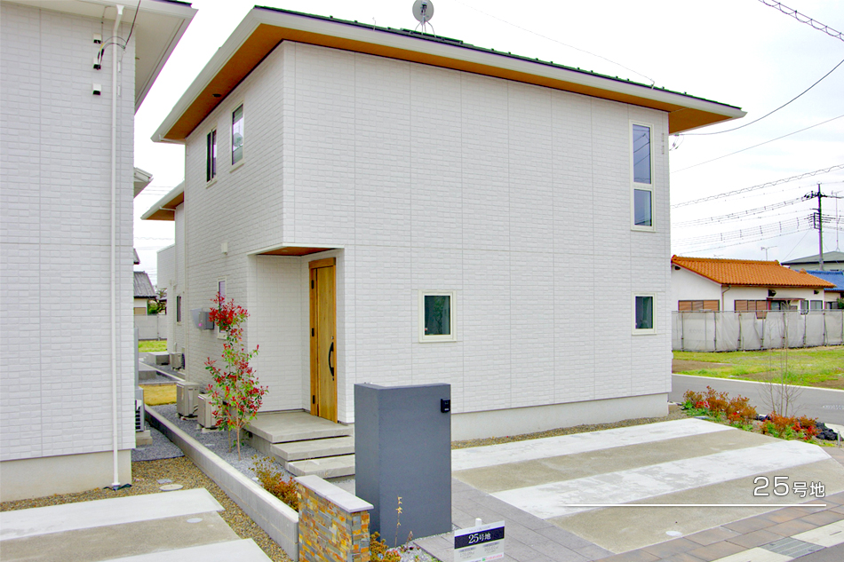 25號地