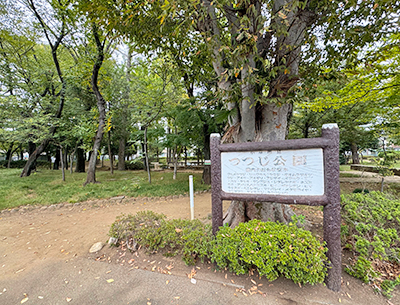 つづじ公園