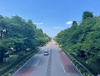 大學(xué)通り