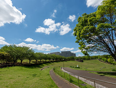 若葉臺公園