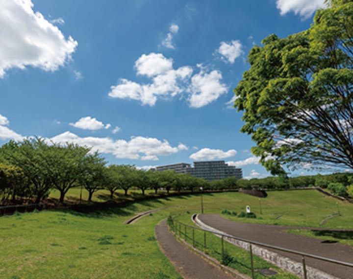 若葉臺公園