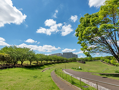 若葉臺公園