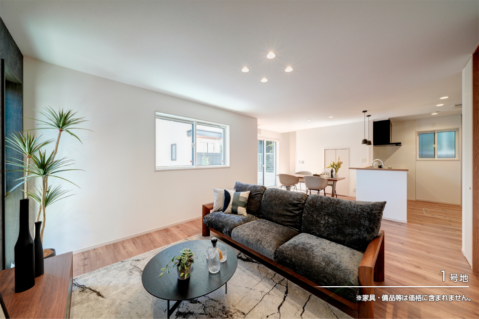 セキュレア光が丘Sta. (分譲住宅)