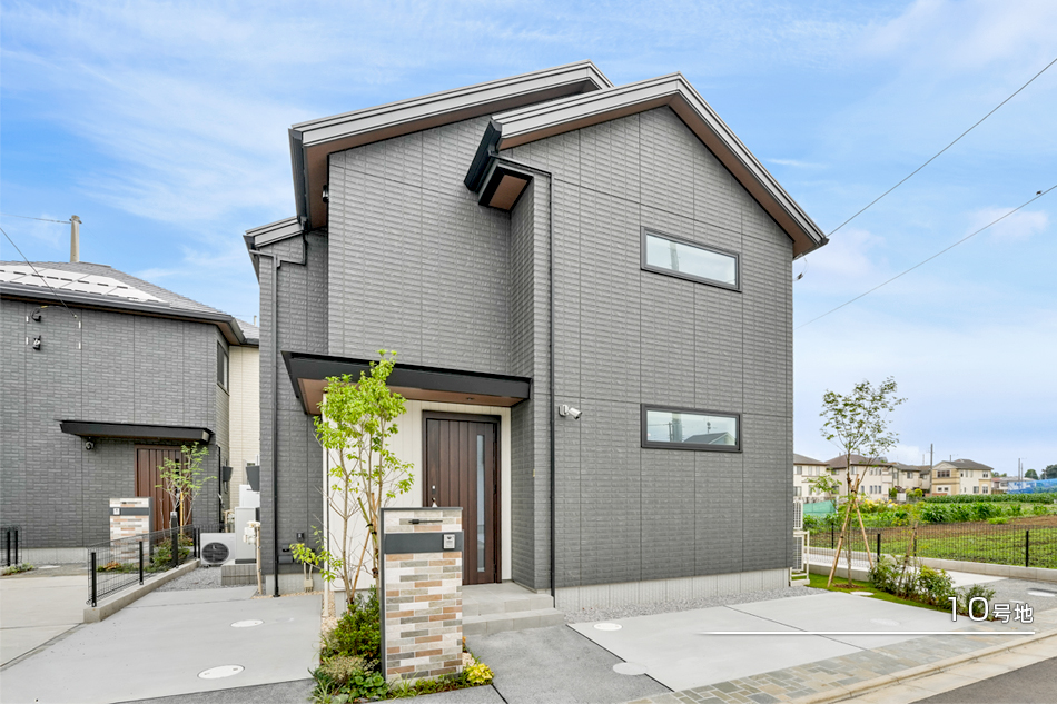 10號地