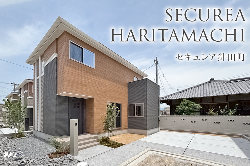3號地