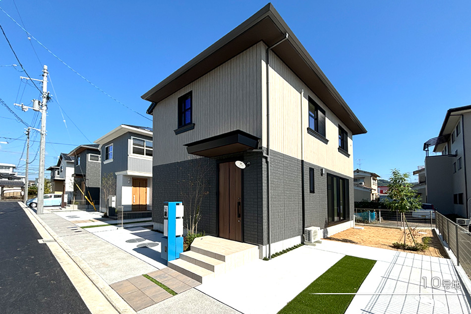 10號地