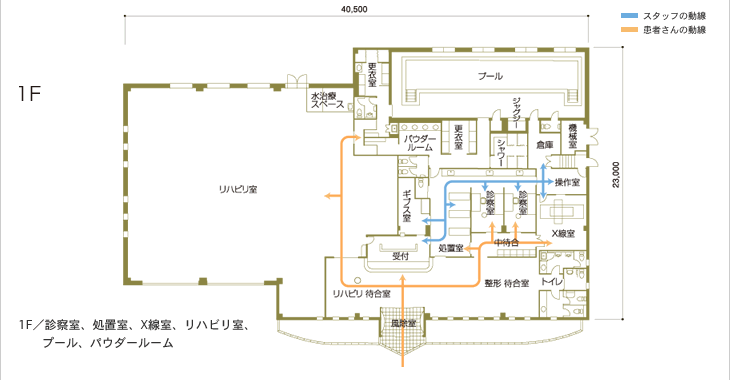 1F/診察室、処置室、X線室、リハビリ室、プール、パウダールーム