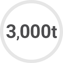 3,000t