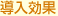 導(dǎo)入効果