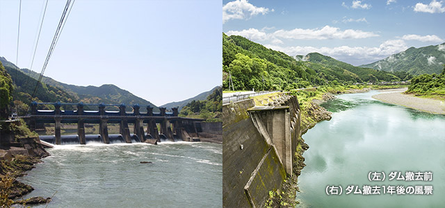 (左)ダム撤去前(右)ダム撤去1年後の風景