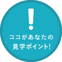 ココがあなたの見學ポイント！