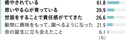 癒やされている 61.8％　思いやる心が育っている 39.9％　世話をすることで責(zé)任感がでてきた 26.6％　動物に興味をもって、調(diào)べるようになった 21.9％　命の誕生に立ち?xí)à郡长?6.1％