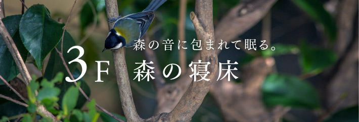 3F 森の音に包まれて眠る。森の寢床