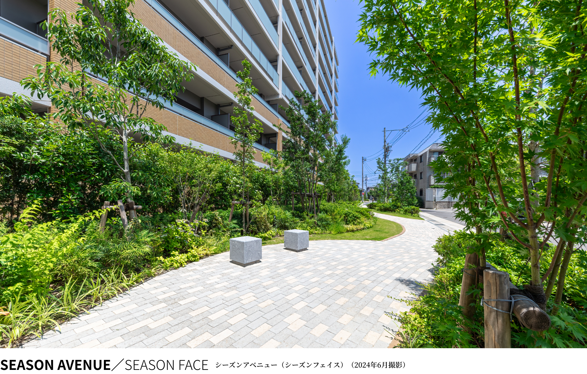 シーズンアベニュー