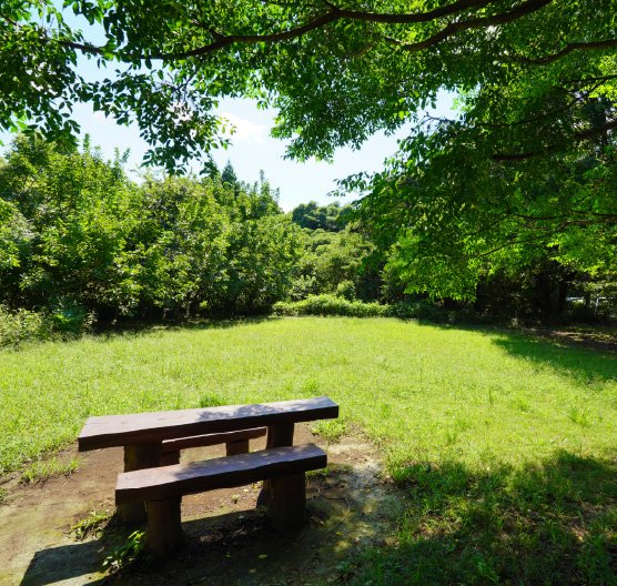 中央林間自然の森