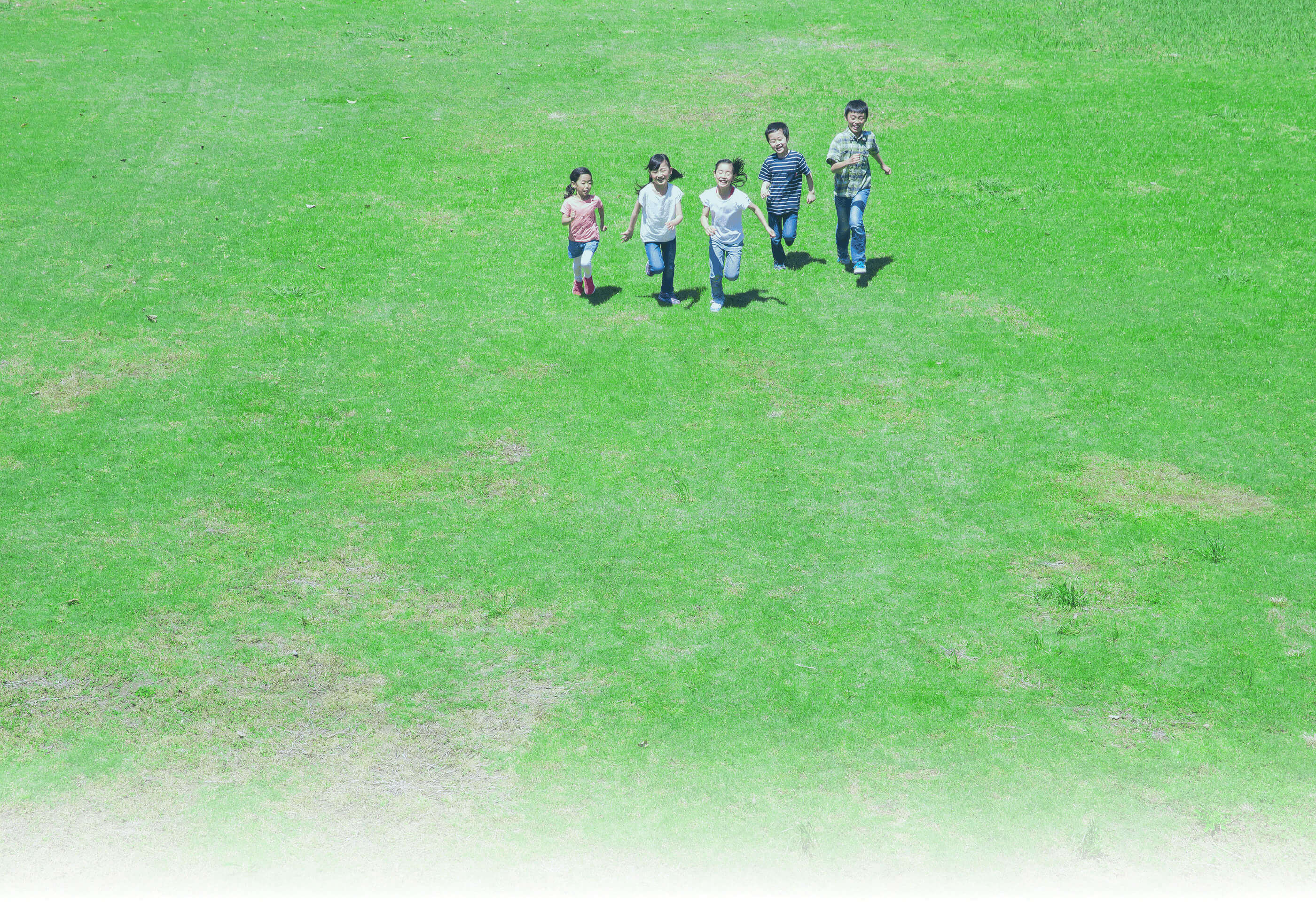 防災公園の安心