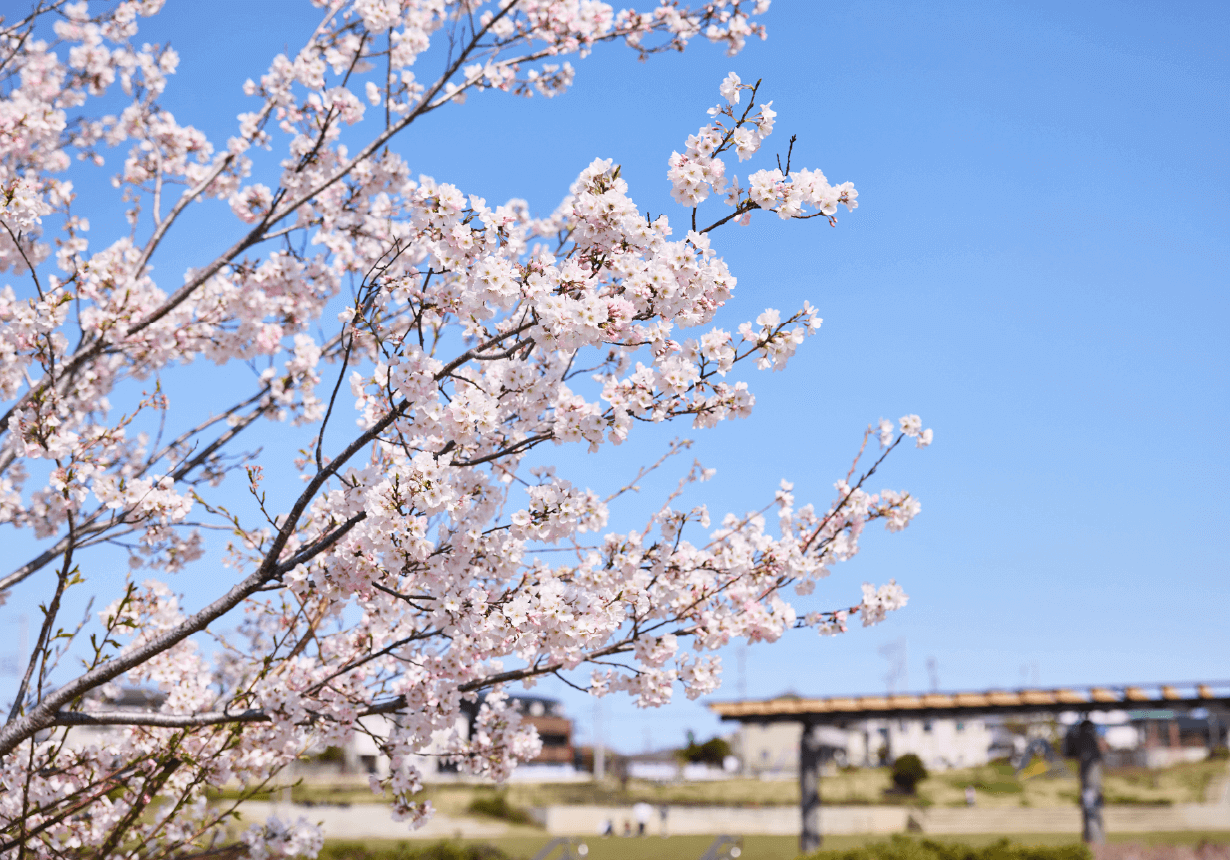 鶴見花月園公園 徒歩５分
