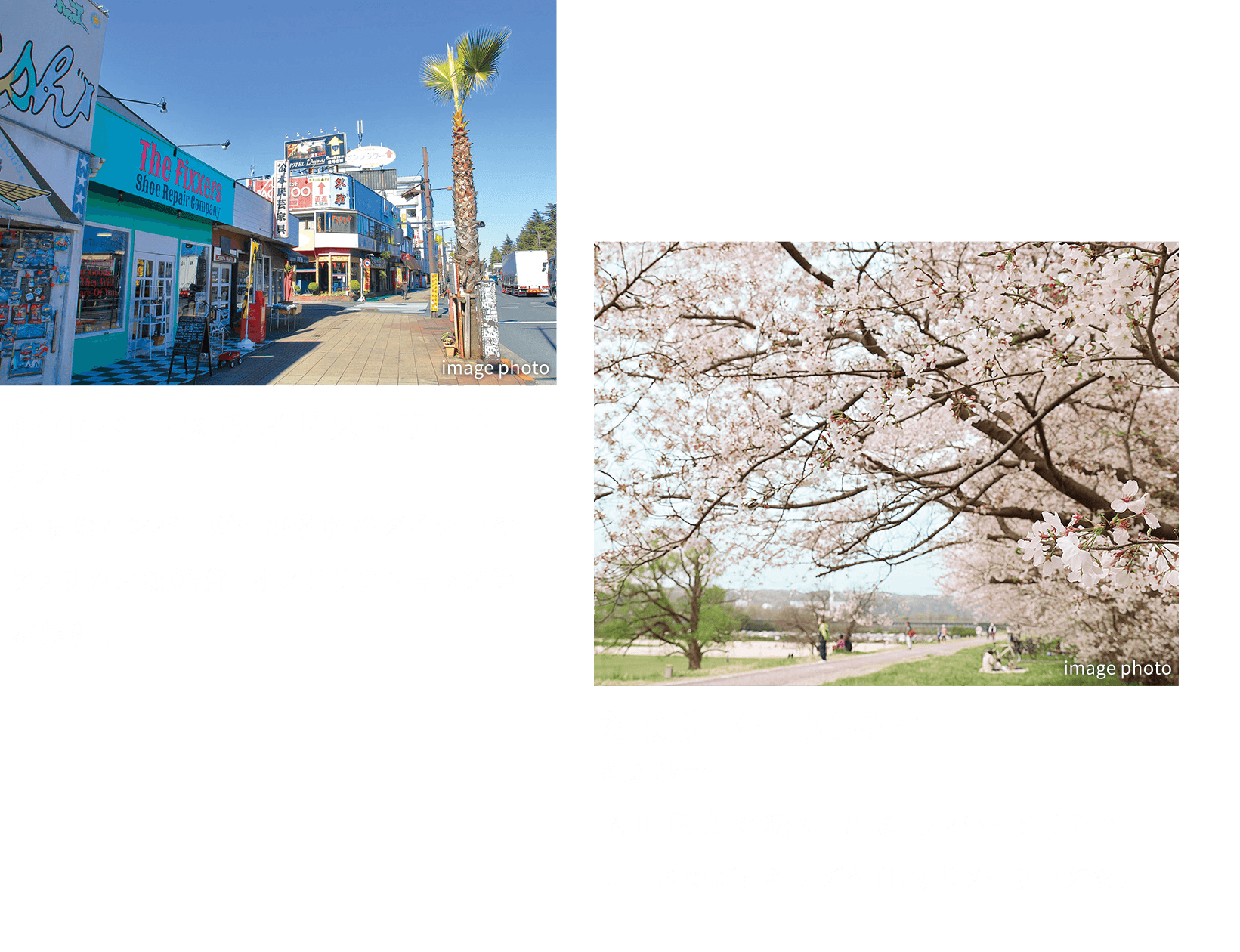 福生ベースサイドストリート 約2.7km：本場のハンバーガーが名物のダイナーやアメリカンな雑貨?インテリアショップ等が集積。｜たまリバー50キロ 約2.2km：大田區まで続く「たまリバー50キロ」コースでジョギングや自転車ツーリングを。