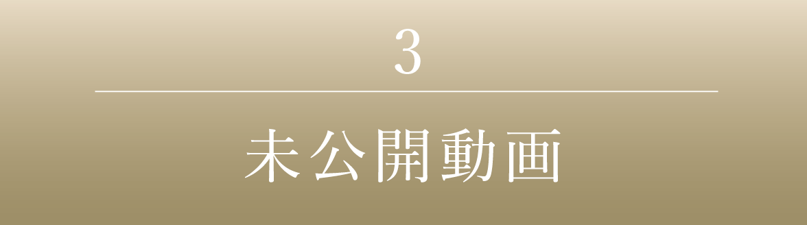 3｜未公開動畫