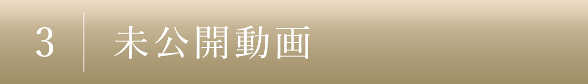 3｜未公開動畫