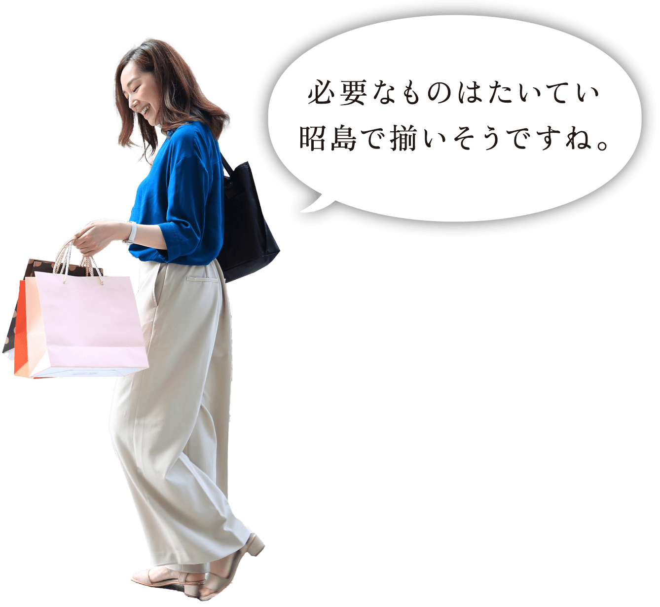必要なものはたいてい昭島で揃いそうですね。