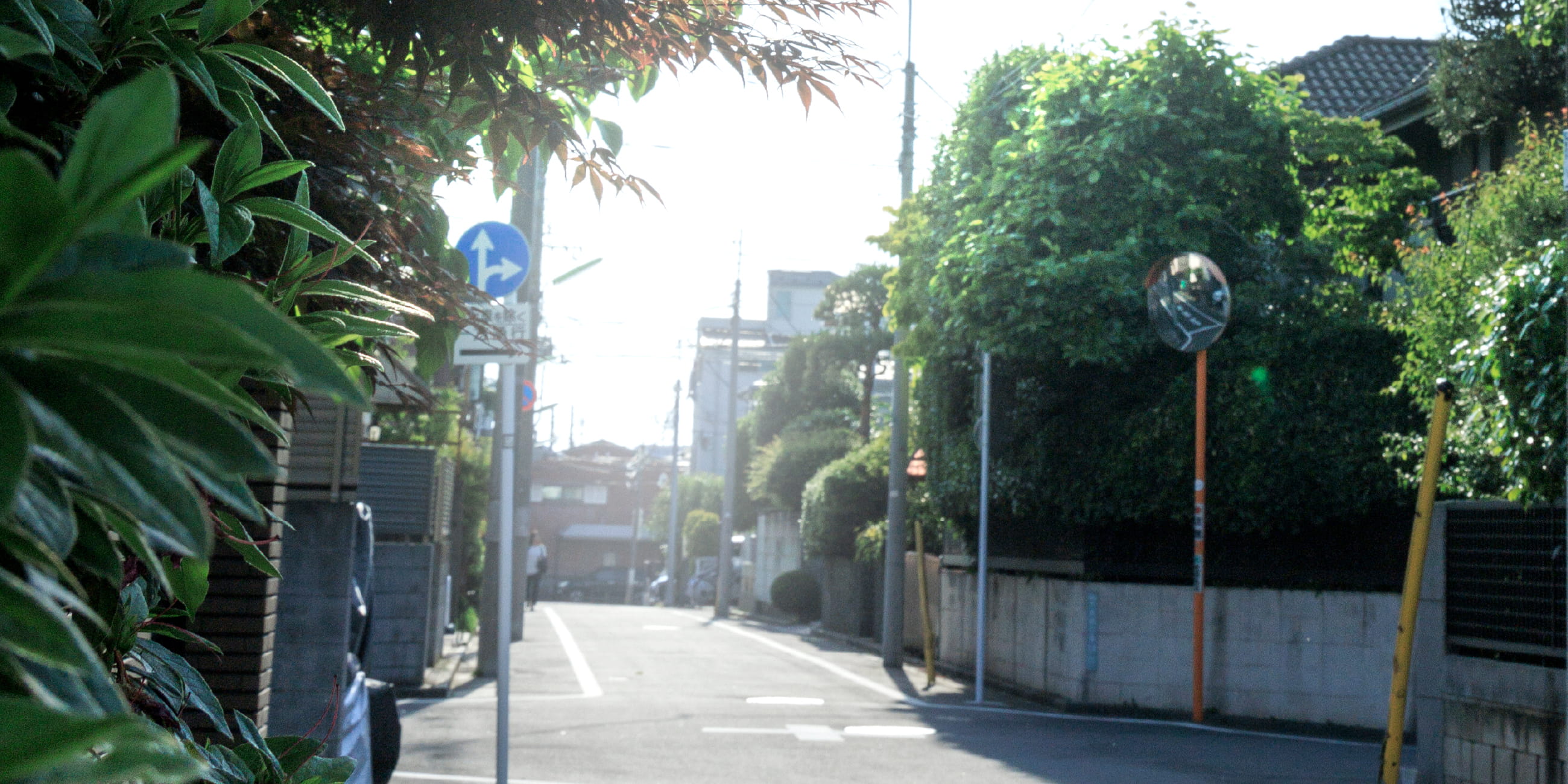 現(xiàn)地周辺の街並み