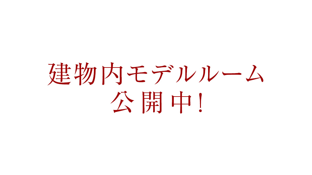建物內モデルルーム公開中！