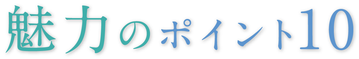 魅力のポイント10