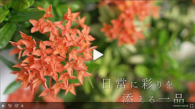 蕓術