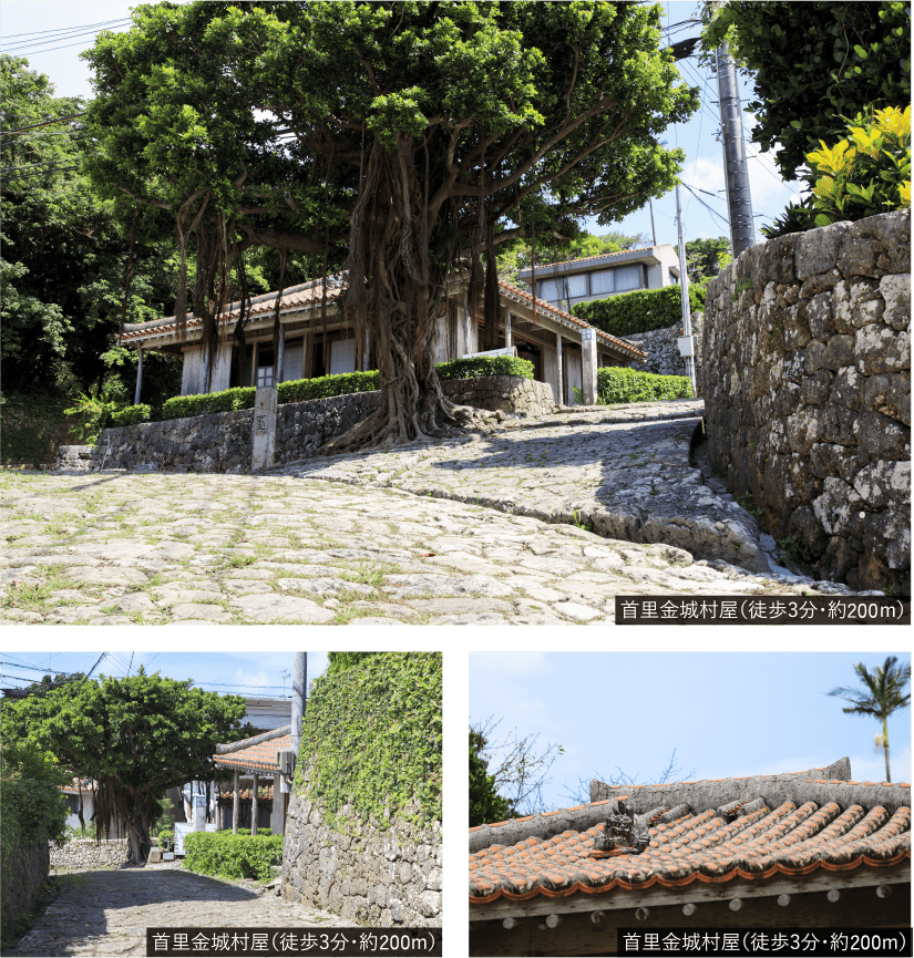 首里金城村屋（徒歩3分?約170m）、首里金城村屋（徒歩3分?約170m）、首里金城村屋（徒歩3分?約170m）