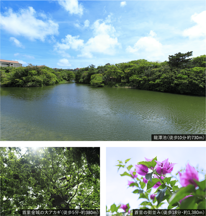 龍潭池（徒歩9分?約700m）、首里金城の大アカギ（徒歩5分?約350m）、首里の街並み（徒歩18分?約1,380m）
