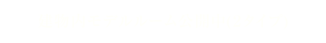建物內モデルルーム公開中(2タイプ)