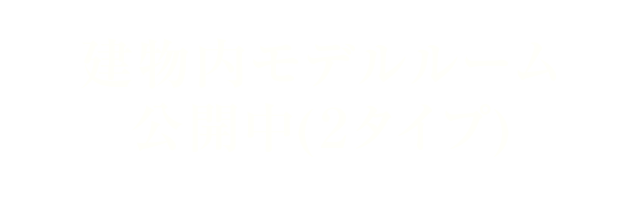 建物內モデルルーム公開中(2タイプ)
