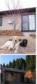 ブログ畫像