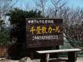 ブログ畫像